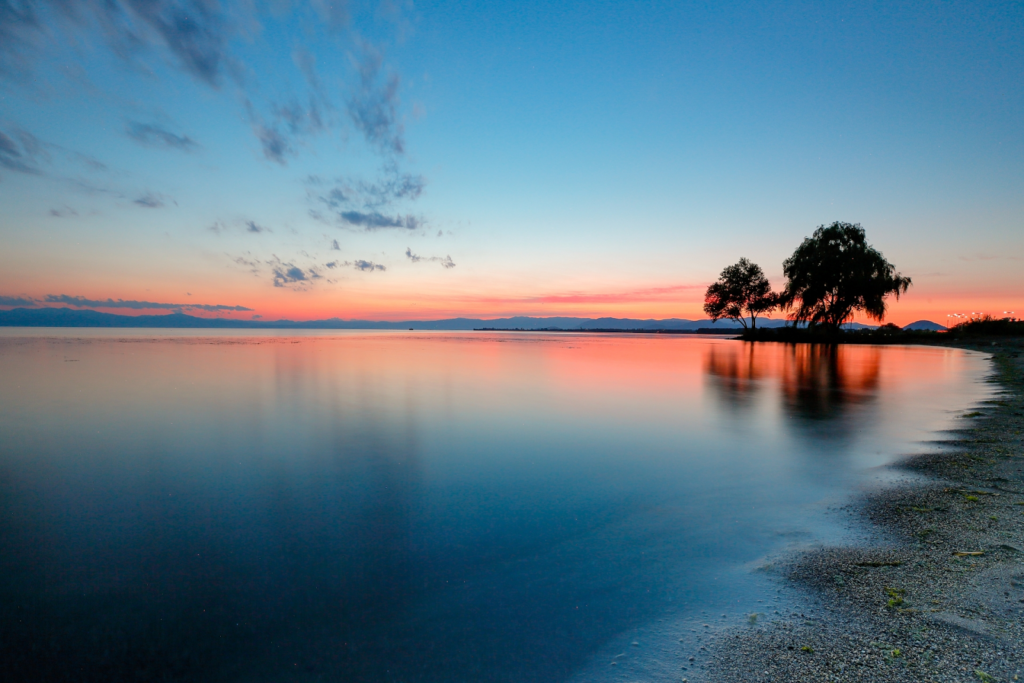 モロコとはどんな魚?特徴や釣り方などおすすめの料理についてもご紹介! 釣りバルーン